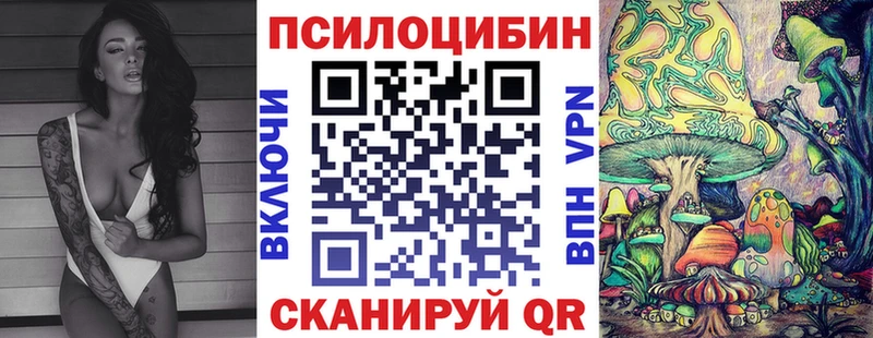 Галлюциногенные грибы мицелий  купить закладку  Иркутск 